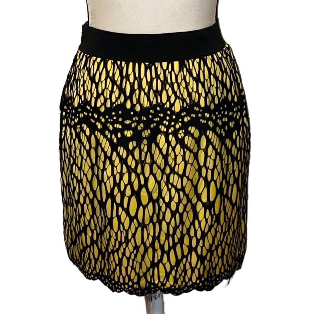 Robert Rodriguez Lace Overlay Mini Skirt - Picture 7 of 9